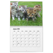 Calendrier Cute Kitten Calendar (Jan 2026)
