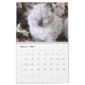 Calendrier Cute kitten calender for 2026 (Feb 2026)
