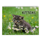 Calendrier Cute Kittens (Protection)