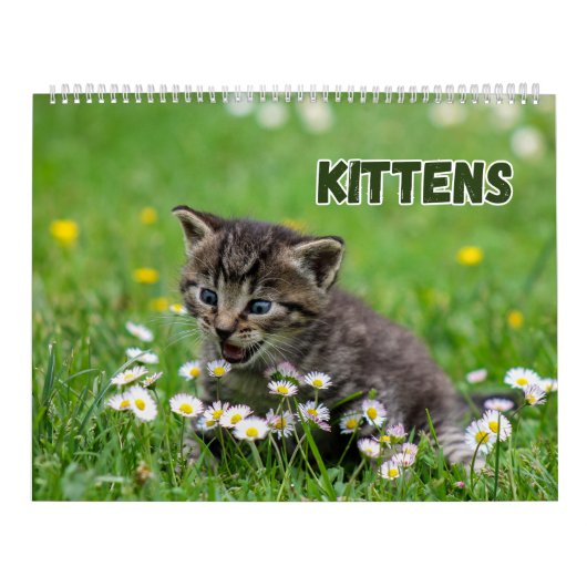 Calendrier Cute Kittens (Protection)