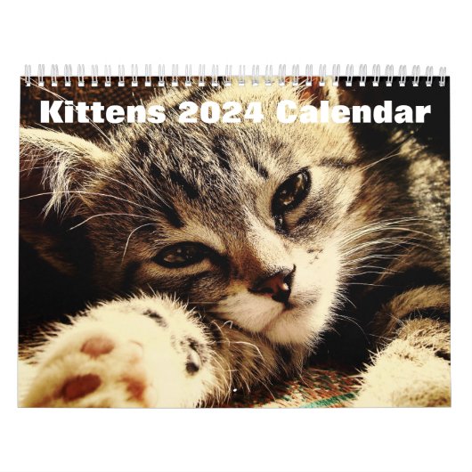 Calendrier Cute Kittens 2024 (Protection)