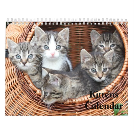 Calendrier Cute Kittens 2025 Bengale Tiger (Protection)