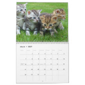 Calendrier Cute Kittens 2025 Bengale Tiger (Mar 2027)