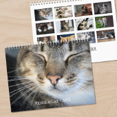 Calendrier Cute Kittens et Chats Photo pour animaux de compag