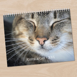 Calendrier Cute Kittens et Chats Photo pour animaux de compag
