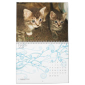 Calendrier CUTE KITTIE CADRES (Mar 2027)