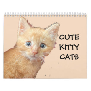 Calendrier CUTE KITTIE CADRES