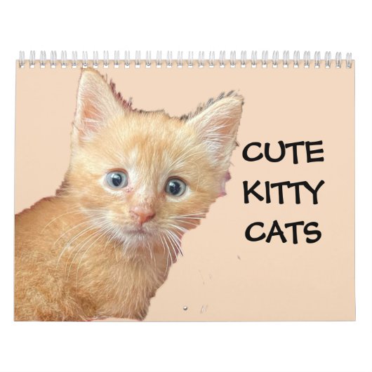 Calendrier CUTE KITTIE CADRES (Protection)