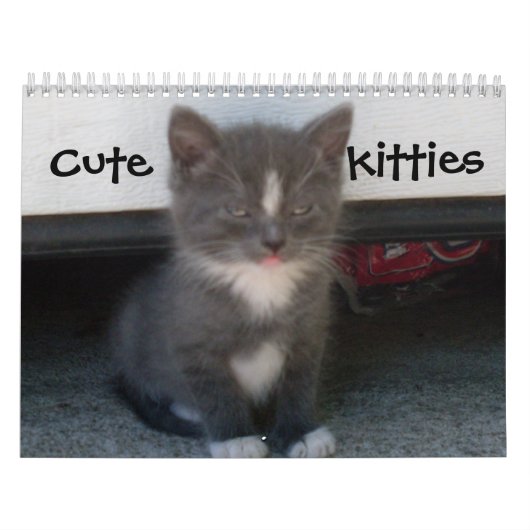 Calendrier CUTE KITTIES (Protection)