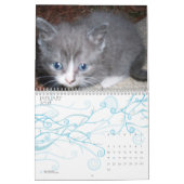Calendrier CUTE KITTIES (Jan 2027)