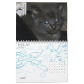 Calendrier CUTE KITTIES (Feb 2026)