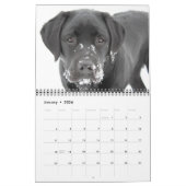 Calendrier Cute Labradors - Black Labrador Retriever Chien (Jan 2026)