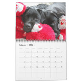 Calendrier Cute Labradors - Black Labrador Retriever Chien (Feb 2026)