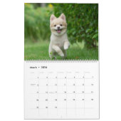 Calendrier Cute Pomeranians Calendar 2026 Dogs (Mar 2026)