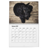 Calendrier Cute Puppies Calendar (Feb 2027)