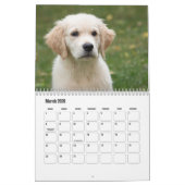 Calendrier Cute Puppies Calendar (Mar 2026)