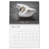 Calendrier cygne 2023 (Feb 2027)