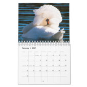 Calendrier cygne 2025 (Feb 2027)