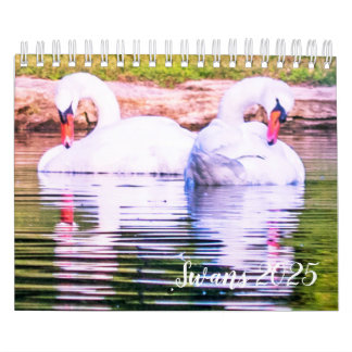 Calendrier cygne 2025