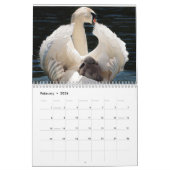 Calendrier Cygne 2025 (Feb 2026)