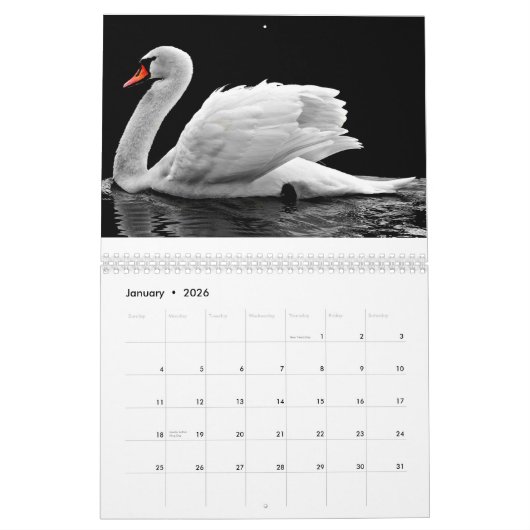 Calendrier Cygne 2025 (Jan 2026)