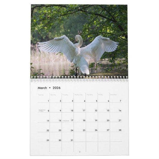 Calendrier cygne 2025 (Mar 2026)