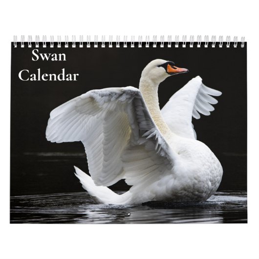 Calendrier cygne 2025 (Protection)