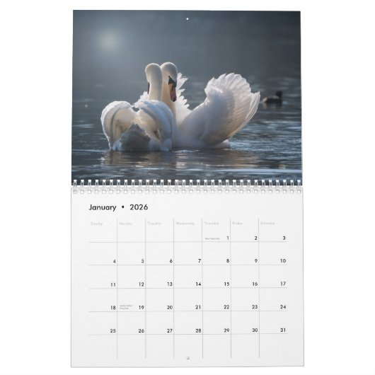Calendrier cygne 2025 (Jan 2026)