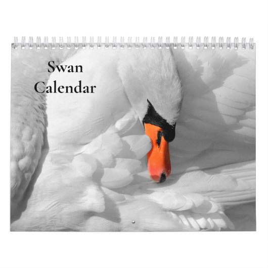 Calendrier cygne 2025 (Protection)