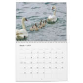 Calendrier Cygne 2027 (Mar 2027)