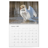 Calendrier Cygne 2027 (Jan 2027)