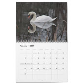 Calendrier Cygnes (Feb 2027)