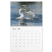 Calendrier Cygnes 2024 (Mar 2026)