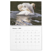 Calendrier Cygnes 2024 (Feb 2026)