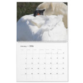 Calendrier Cygnes 2024 (Jan 2026)