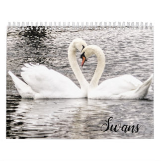 Calendrier Cygnes de Spring Grove