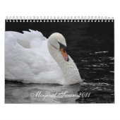 Calendrier Cygnes magiques 2011 (Protection)