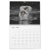 Calendrier Cygnes magiques 2011 (Mar 2027)