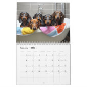 Calendrier Dachshund (Feb 2026)