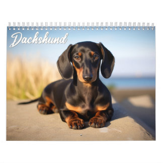 Calendrier Dachshund