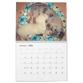 Calendrier Dachshund 2013 (Jan 2026)