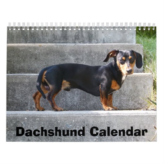 Calendrier Dachshund 2016 Ajouter Vos Photos (Protection)