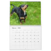 Calendrier Dachshund 2023 Avec Vos Photos (Feb 2026)