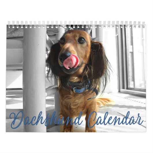 Calendrier Dachshund 2023 Photos Customisées (Protection)