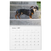 Calendrier Dachshund 2026 Avec Photos (Jan 2027)