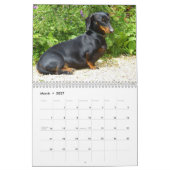 Calendrier Dachshund 2026 Avec Photos (Mar 2027)