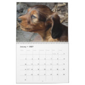 Calendrier Dachshund 2026 Avec Photos (Jan 2027)
