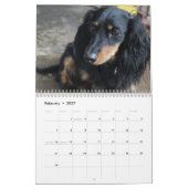 Calendrier Dachshund 2026 Avec Photos (Feb 2027)