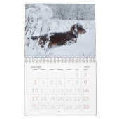 Calendrier Dachshund à poils durs (Jan 2027)
