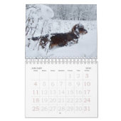 Calendrier Dachshund à poils durs (Jan 2026)
